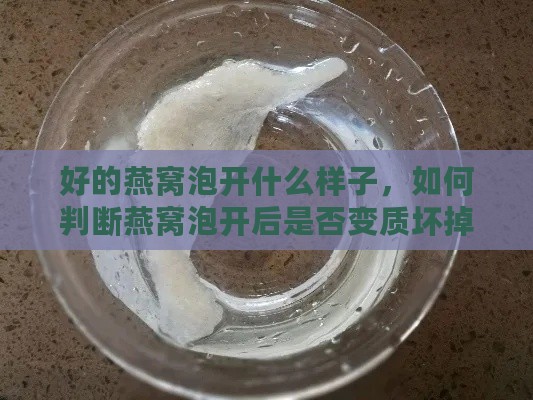 好的燕窝泡开什么样子，如何判断燕窝泡开后是否变质坏掉？