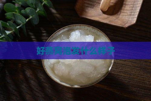 好燕窝泡发什么样子