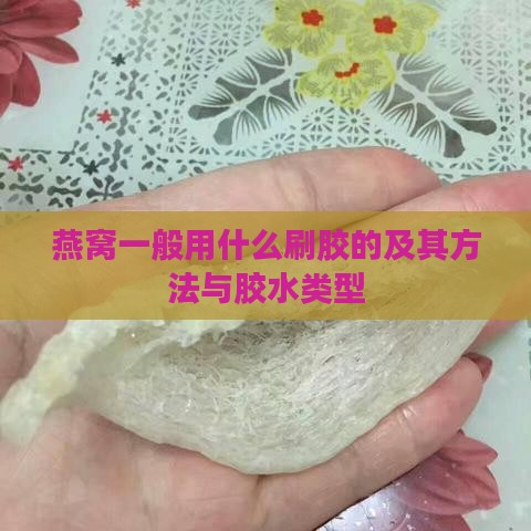 燕窝一般用什么刷胶的及其方法与胶水类型