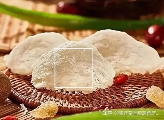 燕窝其实是什么东西