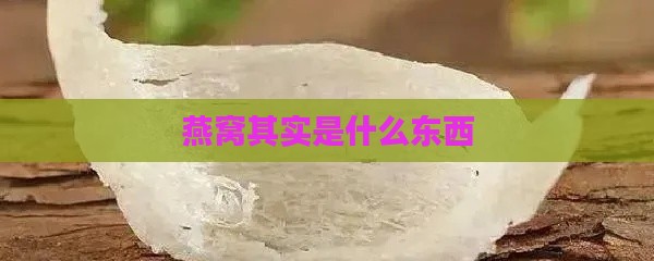 燕窝其实是什么东西