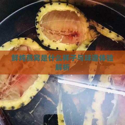 鲜炖燕窝是什么样子与味道体验解析