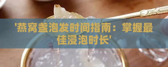 '燕窝盏泡发时间指南：掌握更佳浸泡时长'