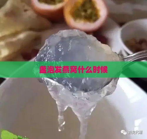 盏泡发燕窝什么时候