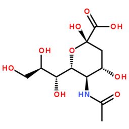 燕窝提取物有什么用