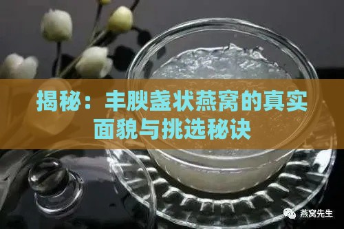 揭秘：丰腴盏状燕窝的真实面貌与挑选秘诀