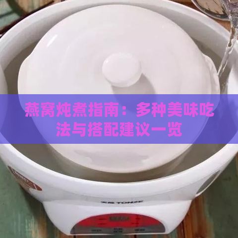 燕窝炖煮指南：多种美味吃法与搭配建议一览