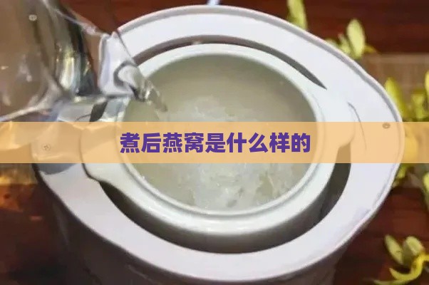 煮后燕窝是什么样的