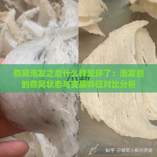 燕窝泡发之后什么样是坏了：泡发后的燕窝状态与变质特征对比分析