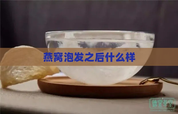 燕窝泡发之后什么样