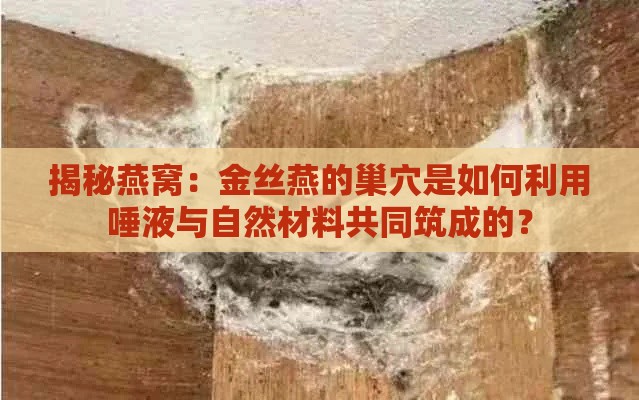 揭秘燕窝：金丝燕的巢穴是如何利用唾液与自然材料共同筑成的？