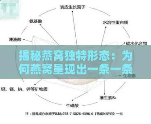 燕窝的窝是什么结构：探究其独特建筑与组成