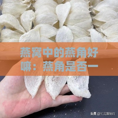 燕窝中的燕角好嘛：燕角是否一片一片，炖煮难度及营养价值解析