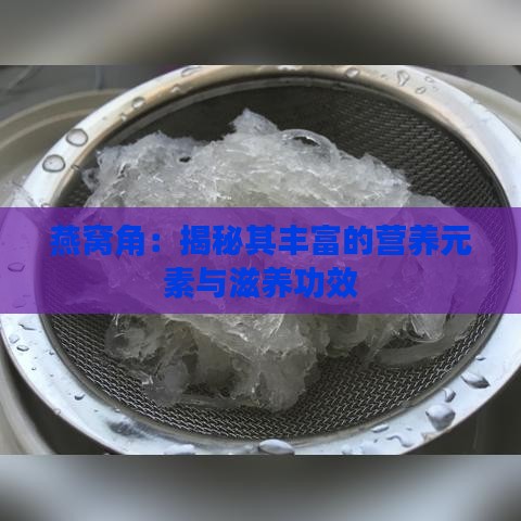 燕窝角：揭秘其丰富的营养元素与滋养功效