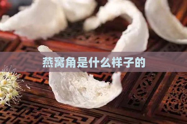 燕窝角是什么样子的