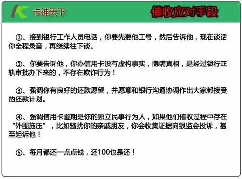 燕窝是否容易长虫：原因、预防与处理方法全解析