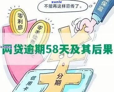 燕窝是否容易长虫：原因、预防与处理方法全解析