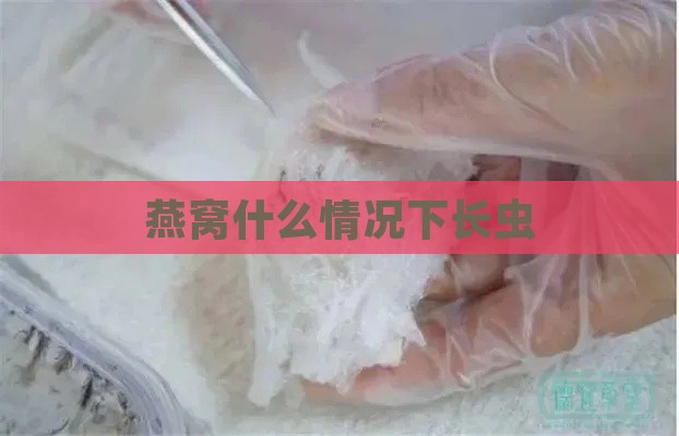 燕窝什么情况下长虫