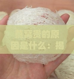 燕窝贵的原因是什么：揭秘燕窝价格差异及价值所在