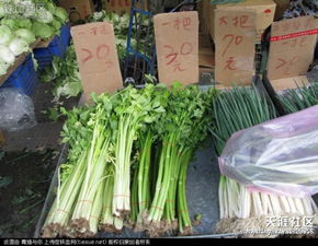 燕窝市场价格大盘点：揭秘各类燕窝价格区间