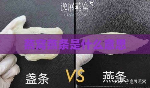 燕窝燕条是什么意思