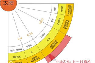 深入解析：白燕盏的定义、来源、功效与食用方法全攻略