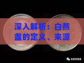 深入解析：白燕盏的定义、来源、功效与食用方法全攻略