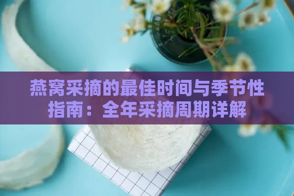 燕窝采摘的更佳时间与季节性指南：全年采摘周期详解