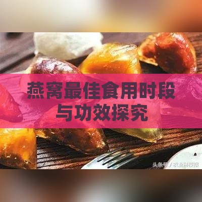 燕窝更佳食用时段与功效探究