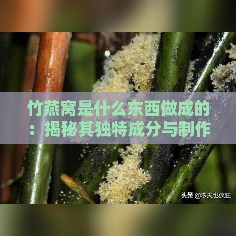 竹燕窝是什么东西做成的：揭秘其独特成分与制作原料