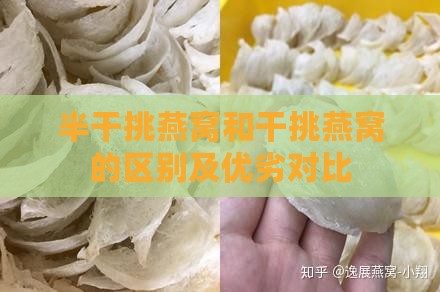 半干挑燕窝和干挑燕窝的区别及优劣对比