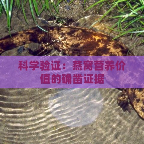 科学验证：燕窝营养价值的确凿证据