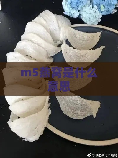 m5燕窝是什么意思