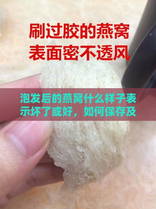 泡发后的燕窝什么样子表示坏了或好，如何保存及外观特征详解