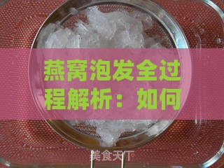 燕窝泡发全过程解析：如何判断燕窝泡发是否到位及常见问题解答