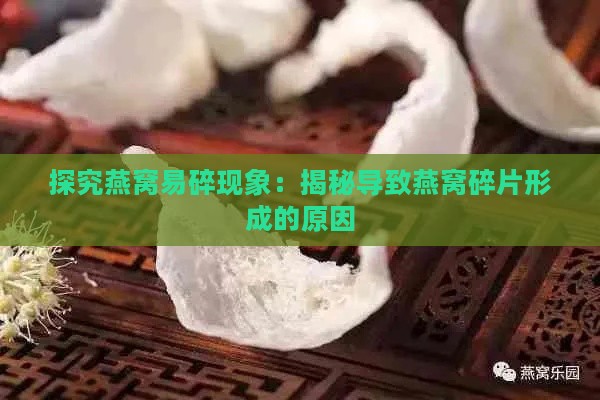 探究燕窝易碎现象：揭秘导致燕窝碎片形成的原因