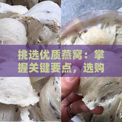 挑选优质燕窝：掌握关键要点，选购高品质燕窝攻略