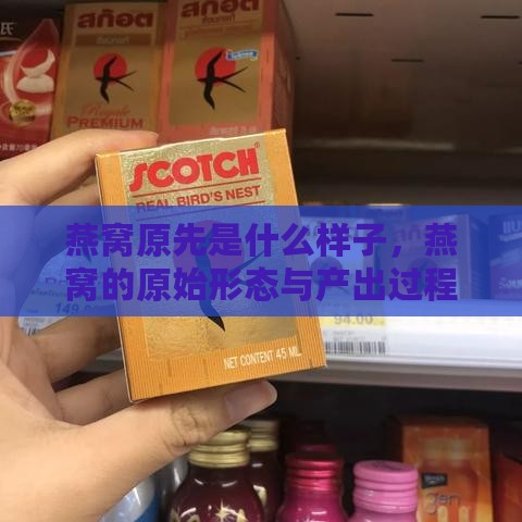 燕窝原先是什么样子，燕窝的原始形态与产出过程解析