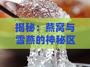 揭秘：燕窝与雪燕的神秘区别及其营养价值