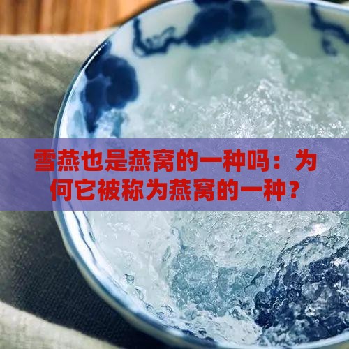 雪燕也是燕窝的一种吗：为何它被称为燕窝的一种？