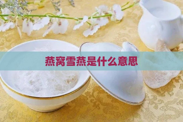 燕窝雪燕是什么意思