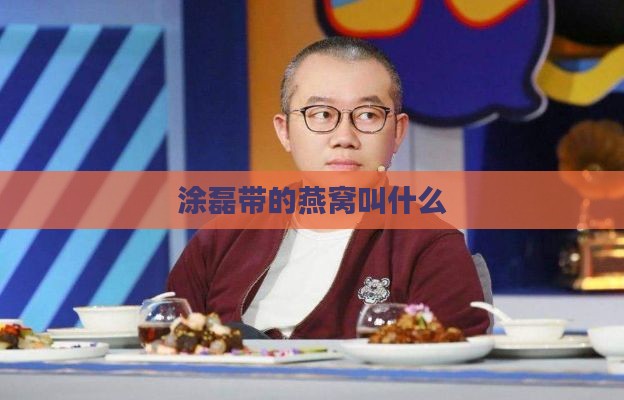 涂磊带的燕窝叫什么