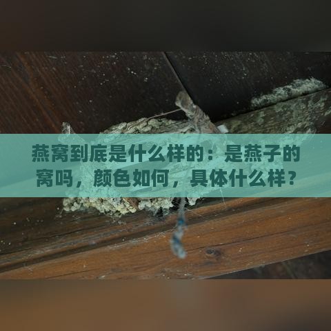 燕窝到底是什么样的：是燕子的窝吗，颜色如何，具体什么样？