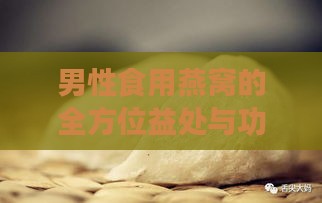 男性食用燕窝的全方位益处与功效解析