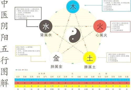 燕窝在五行学说中的属性解析：揭秘其养生奥秘与适用体质