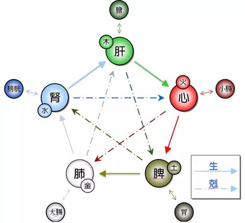 燕窝在五行学说中的属性解析：揭秘其养生奥秘与适用体质