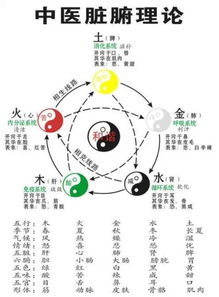 浜旇探索：燕窝在五行学说中究竟归属哪一行？