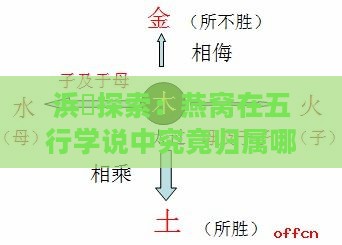 浜旇探索：燕窝在五行学说中究竟归属哪一行？