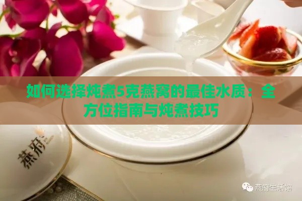 如何选择炖煮5克燕窝的更佳水质：全方位指南与炖煮技巧