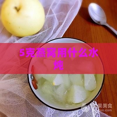 5克燕窝用什么水炖